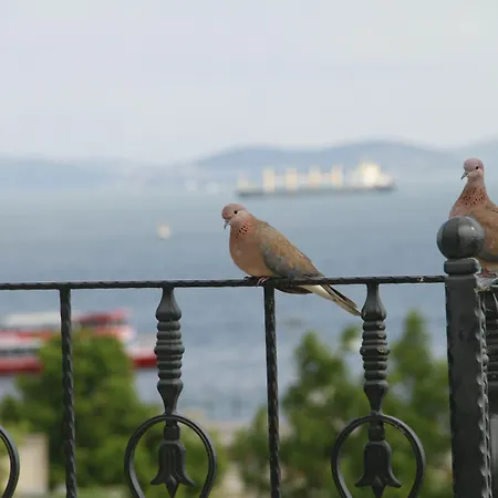 サルハン イスタンブール
