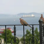 Saruhan Istanboel